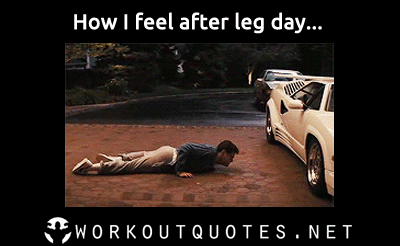 Meme Of The Day GIFs